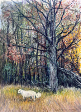 Biala-In-The-Back-Pasture-weblarge